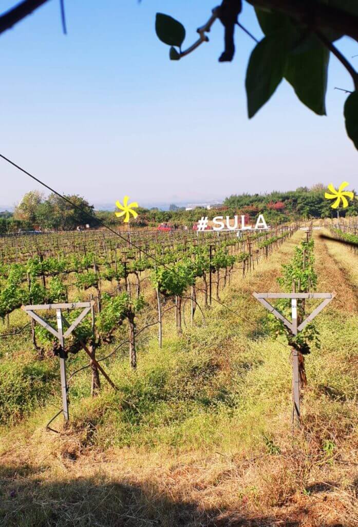 Sula